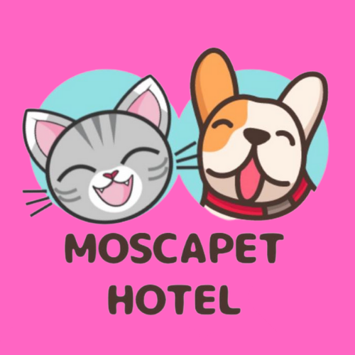 moscapet hotel